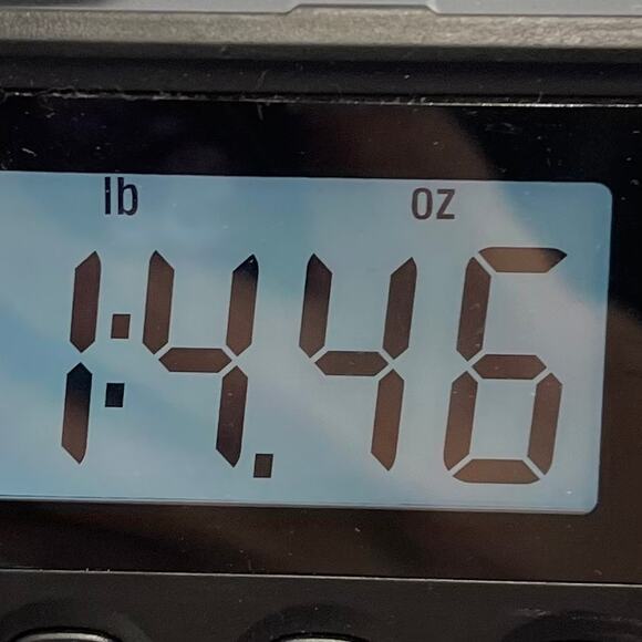 Crown & Ivy Crop Pants Size 10 Checkered Blue and White - Picture 11 of 12